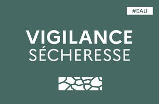 VIGILANCE SECHERESSE