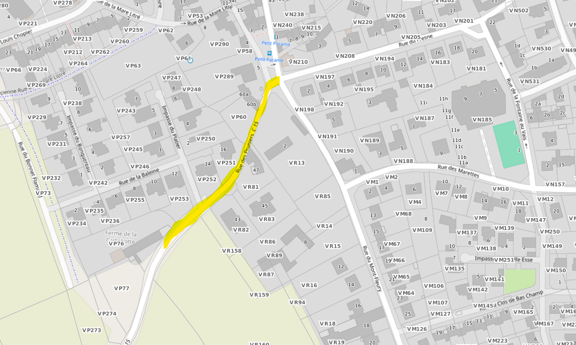 travaux renouvellement Pruniers